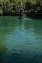 Urfa, holy carps