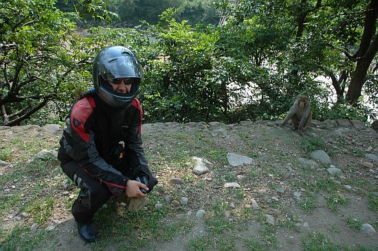 dharam2.jpg