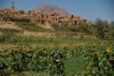 yazd11.jpg