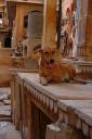 jaisalmer04.jpg