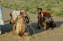 jaisalmer15.jpg
