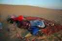 jaisalmer20.jpg