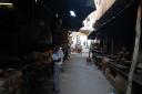 pushkar04.jpg