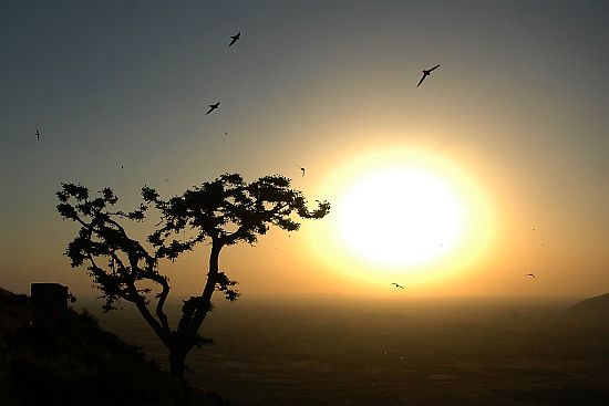 pushkar07.jpg