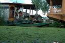 srinagar05.jpg