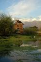 srinagar08.jpg