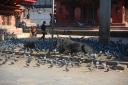 kathmandu03.jpg