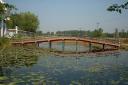 lumbini01.jpg