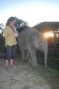 sauraha01.jpg
