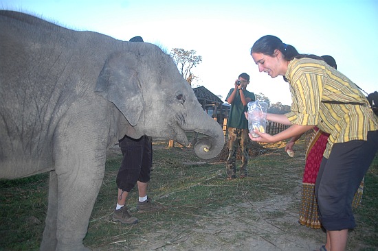 sauraha02.jpg