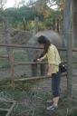 sauraha04.jpg