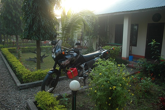 sauraha05.jpg