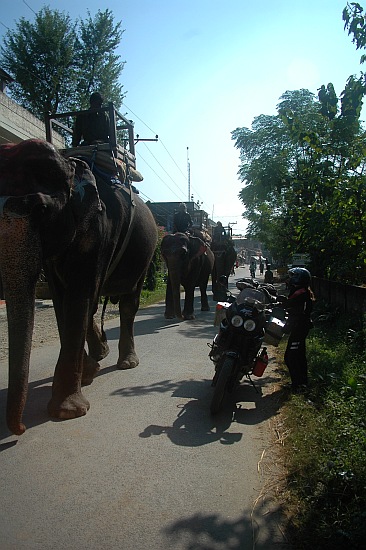 sauraha06.jpg