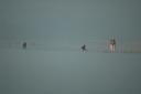 sauraha09.jpg