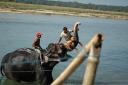 sauraha17.jpg