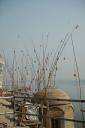 varanasi13.jpg