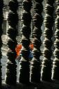angkor07.jpg
