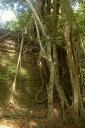 angkor2_09.jpg