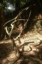 angkor2_10.jpg