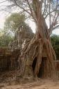 angkor2_15.jpg