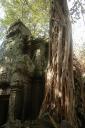 angkor3_06.jpg