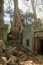angkor3_07.jpg