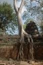 angkor3_08.jpg