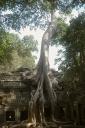 angkor3_09.jpg