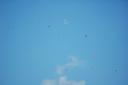 paraglider07.jpg